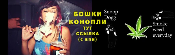 молекула духа Аркадак
