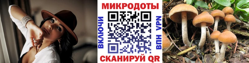 это какой сайт Гулькевичи Псилоцибиновые грибы GOLDEN TEACHER